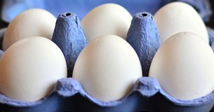 Φόβοι για τα μολυσμένα ελληνικά αυγά - Προληπτικοί έλεγχοι και στη Βοιωτία