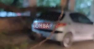 Δέντρο έπεσε πάνω σε αμάξι στη Θήβα