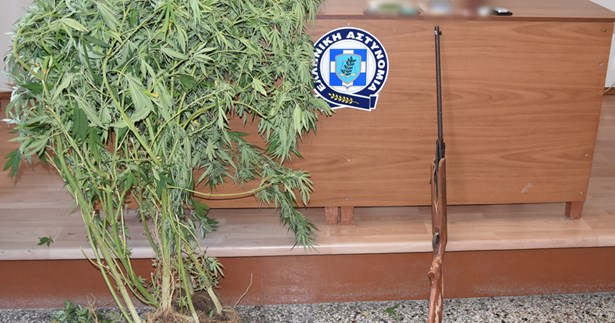 Συνελήφθη στη Λιβαδειά για ναρκωτικά και όπλα (ΦΩΤΟ)