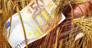 Κ. Τσιάρας: Μέσα στο Νοέμβριο θα πληρωθεί η προκαταβολή της Bασικής Eνίσχυσης