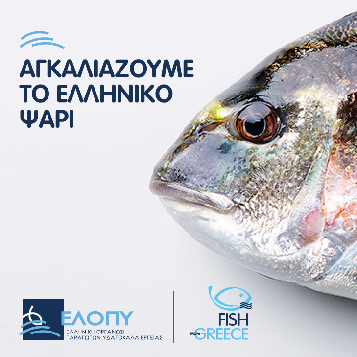 FISHFROMGREECE ΣΤΑΘΕΡΟ