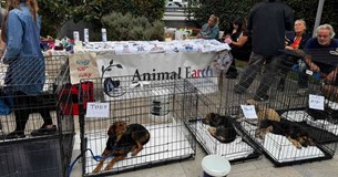 Ενεργή συμμετοχή του Δήμου Χαλκιδέων στην Παγκόσμια Ημέρα Ζώων