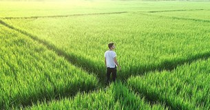 Προθεσμία για διορθώσεις στα αγροτεμάχια που δηλώθηκαν για συνδεδεμένες ενισχύσεις, ποιες περιπτώσεις περιλαμβάνει Προθεσμία για διορθώσεις στα αγροτεμάχια που δηλώθηκαν για συνδεδεμένες ενισχύσεις, ποιες περιπτώσεις περιλαμβάνει