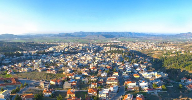 Νίκος Χατζηδούρος: Η Θήβα και η στρουθοκαμηλική μας σκέψη