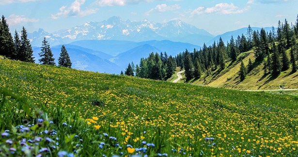 Γιώργος Πέππας: Το κέρδος δεν είναι το παν στη ζωή