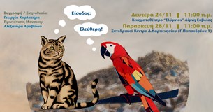 Εκπαιδευτική Παράσταση για παιδιά στη Στερεά Ελλάδα: «Σαρδέλας & Κυδώνης»