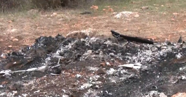 Βοιωτία: Πέθανε η μητέρα του 27χρονου που βρέθηκε απανθρακωμένος