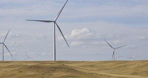 Στέφανος Σταμέλλος: Ποια λογική δικαιολογεί την καταστροφή του φυσικού μας πλούτου; Στέφανος Σταμέλλος: Ποια λογική δικαιολογεί την καταστροφή του φυσικού μας πλούτου;