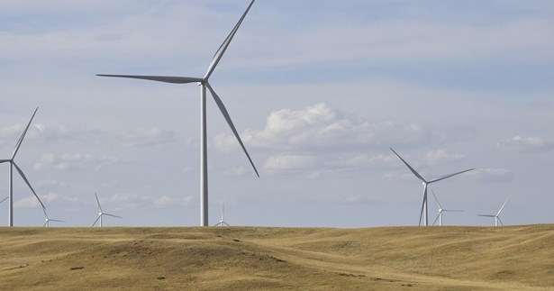 Στέφανος Σταμέλλος: Ποια λογική δικαιολογεί την καταστροφή του φυσικού μας πλούτου;