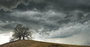 Ο καιρός στη Βοιωτία: Συννεφιά προβλέπεται να έχουμε όλη την εβδομάδα - Έρχονται βροχές το Σάββατο