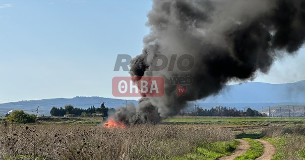 Έντονοι καπνοί από φωτιά που ξέσπασε έξω από την Θήβα (ΒΙΝΤΕΟ)