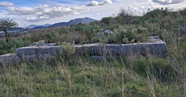 Την ανάδειξη του αρχαιολογικού χώρου και της Ακρόπολης Αλιάρτου επιδιώκει ο Δήμος Αλιάρτου-Θεσπιέων