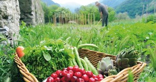 Ενισχύεται η βιολογική γεωργία με 36 εκατομμύρια ευρώ από το ΥπΑΑΤ
