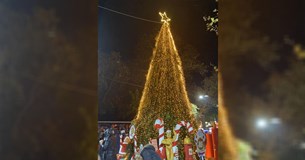 Αυτό είναι το πρόγραμμα Φωταγώγησης Χριστουγεννιάτικων Δέντρων του Δήμου Θηβαίων Αυτό είναι το πρόγραμμα Φωταγώγησης Χριστουγεννιάτικων Δέντρων του Δήμου Θηβαίων