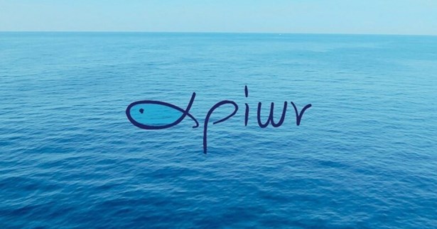 Εορταστικές ευχές του ΣΠΟΑΚ Εορταστικές ευχές του ΣΠΟΑΚ