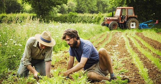 Προδημοσίευση Πρόσκλησης των Παρεμβάσεων για επενδύσεις σε γεωργικές εκμεταλλεύσεις