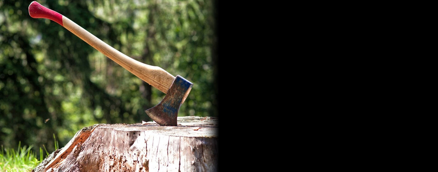 Με άδεια από τον Δήμο Λεβαδέων η κοπή καυσόξυλων - Όλα όσα πρέπει να γνωρίζετε