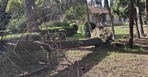 Ανεμοι τα πήραν και τα σήκωσαν στην Αλίαρτο