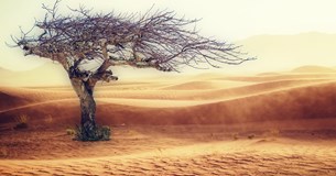 Στέφανος Σταμέλλος: Θα αποδεχθούμε έναν κόσμο μόνιμης κρίσης, πολέμων και καταστροφής;