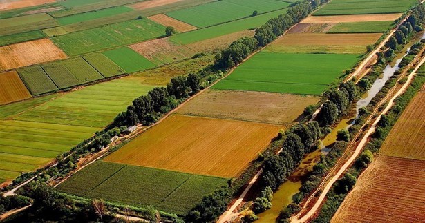Το ΥπΑΑΤ απαντάει στην Ερώτηση Κοτίδη για την άρδευση της Κωπαΐδας με νερό από τον βιολογικό καθαρισμό της Ψυττάλειας