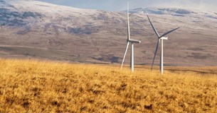 Γιώτα Πούλου: «Δεν σηκώνει άλλες ΑΠΕ η Στερεά Ελλάδα!»