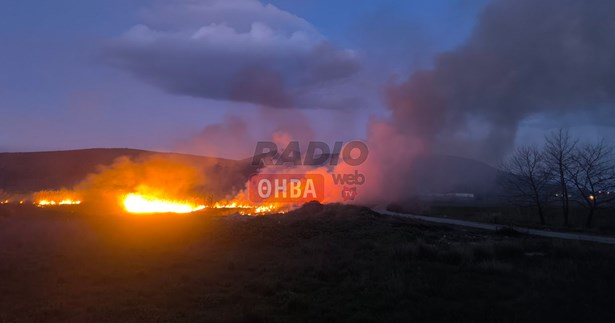 Σε εξέλιξη φωτιά στις πηγές Μαυρονερίου Λιβαδειάς
