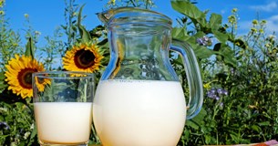 Απόφαση της πλήρους Ολομέλειας Αρείου Πάγου για καρτέλ αγελαδινού γάλακτος δικαιώνει παραγωγούς