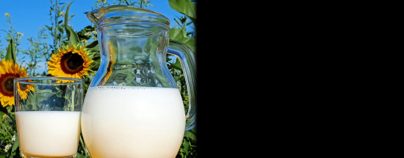 Απόφαση της πλήρους Ολομέλειας Αρείου Πάγου για καρτέλ αγελαδινού γάλακτος δικαιώνει παραγωγούς