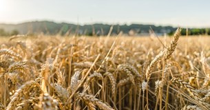 Μεγάλη Πέμπτη το στοίχημα για τις πρώτες σημαντικές πληρωμές του έτους