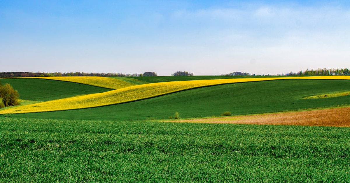 Μόνο σε πτυχιούχους νέους αγρότες στήριξη 90.000 ευρώ με πριμ και δάνειο, οι αιτήσεις ξεκινάνε μετά το Πάσχα