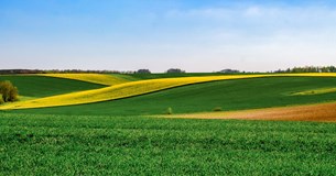 Μόνο σε πτυχιούχους νέους αγρότες στήριξη 90.000 ευρώ με πριμ και δάνειο, οι αιτήσεις ξεκινάνε μετά το Πάσχα