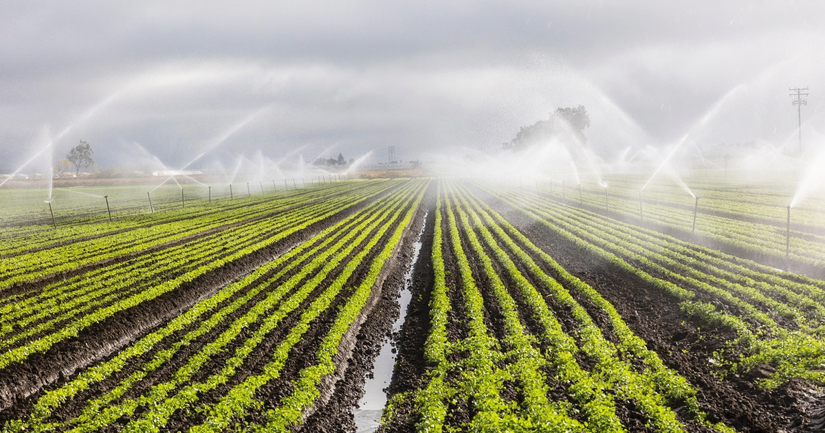 Αμεση σύγκλιση του Περιφερειακού Συμβουλίου ζητά ο Γιώργος Αγγελόπουλος για την άρδευση της Κωπαΐδας