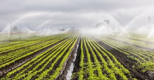 Αμεση σύγκλιση του Περιφερειακού Συμβουλίου ζητά ο Γιώργος Αγγελόπουλος για την άρδευση της Κωπαΐδας Αμεση σύγκλιση του Περιφερειακού Συμβουλίου ζητά ο Γιώργος Αγγελόπουλος για την άρδευση της Κωπαΐδας