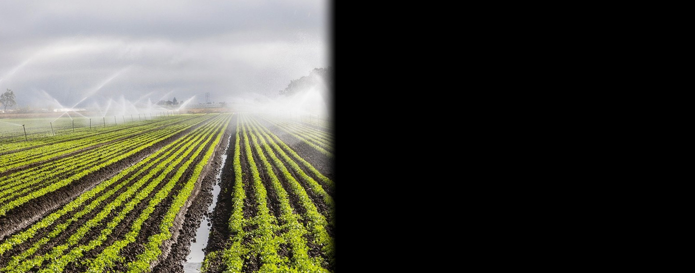 Αμεση σύγκλιση του Περιφερειακού Συμβουλίου ζητά ο Γιώργος Αγγελόπουλος για την άρδευση της Κωπαΐδας