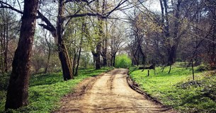 Γιώτα Πούλου: «Τήρηση της νομιμότητας και περιβαλλοντικές επιπτώσεις του Προγράμματος Προστασίας Δασών ANTINERO»