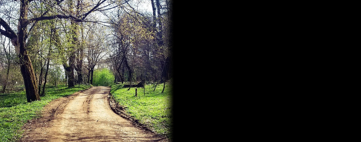 Γιώτα Πούλου: «Τήρηση της νομιμότητας και περιβαλλοντικές επιπτώσεις του Προγράμματος Προστασίας Δασών ANTINERO»