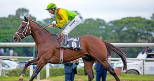 Στον Ορχομενό 20-23 Μαρτίου οι Διεθνείς αγώνες ιππικής αντοχής