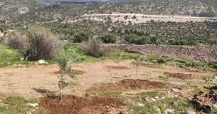 Στην αναμονή για τις αποζημιώσεις από τις πυρκαγιές του 2023 στη Βοιωτία