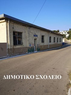 Σεραφείμ Δέδες: «Επιχείρηση καθαρό χωριό» στα Χώστια