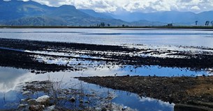 Η κακοκαιρία Erminio προκάλεσε πλημμύρες σε καλλιέργειες στην Αλίαρτο