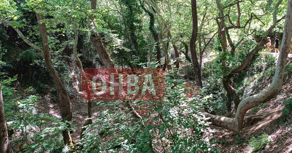 Πρωτομαγιά στους καταρράκτες της Πέτρας Αλιάρτου