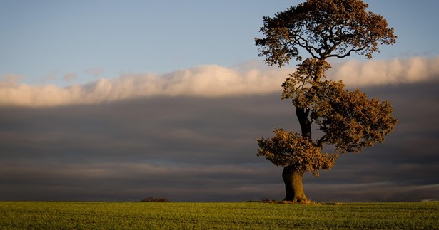 Γιώργος Πέππας: Οι συντηρητικοί πριν αναλάβουν την εξουσία και οι συντηρητικοί αφού την αναλάβουν