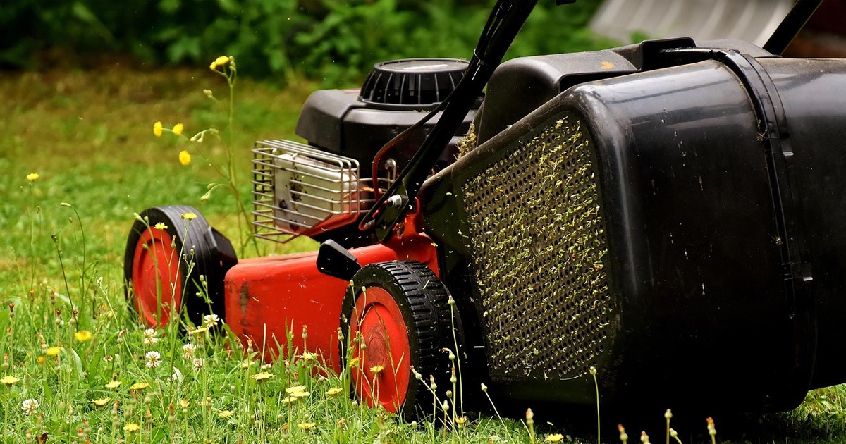 Yποχρεωτικοί καθαρισμοί οικοπέδων στο Δήμο Θηβαίων - Αυστηρό πλαίσιο προστίμων