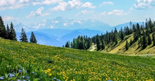 Περιβαλλοντικές Δράσεις Ενημέρωσης & Ευαισθητοποίησης στη Θήβα