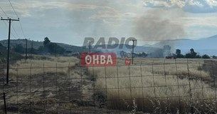 Ξέσπασε φωτιά έξω από την Θήβα - Στο σημείο η πυροσβεστική