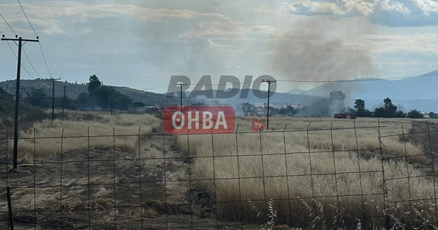 Ξέσπασε φωτιά έξω από την Θήβα - Στο σημείο η πυροσβεστική
