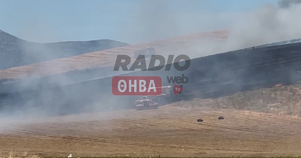 Έκτακτο: Ξέσπασε φωτιά έξω από την Θήβα