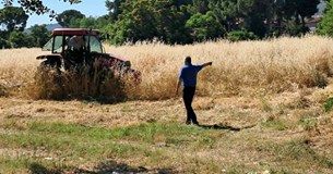 Τη Δευτέρα λήγει η προθεσμία για τον καθαρισμό οικοπέδων - «Μάχη» στην Αλίαρτο