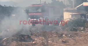 Φωτιά σε ξερά χόρτα στη γέφυρα του τρόμου στη Θήβα