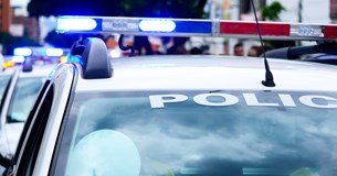 Εγκληματική οργάνωση διέπραττε κλοπές σε Βοιωτία, Φθιώτιδα και Εύβοια  Είχαν ως «ορμητήριο» το Πυρί της Θήβας